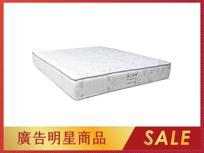 38195-SPINAL CARE 護背床墊